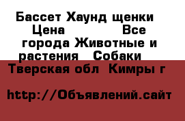 Бассет Хаунд щенки › Цена ­ 20 000 - Все города Животные и растения » Собаки   . Тверская обл.,Кимры г.